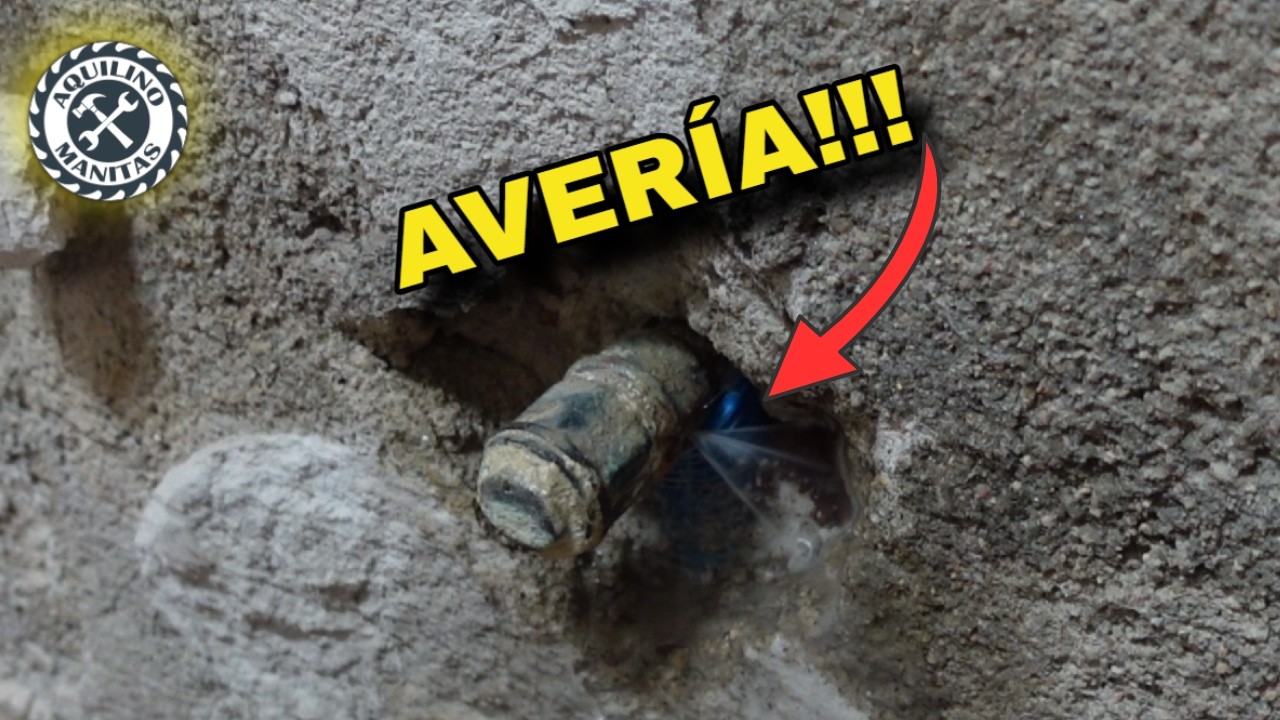 ¿Qué Pasó Durante la Demolición? Reparación Completa