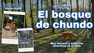 Neltume, Camping "El bosque del chungo" recomendaaaaadoooo!