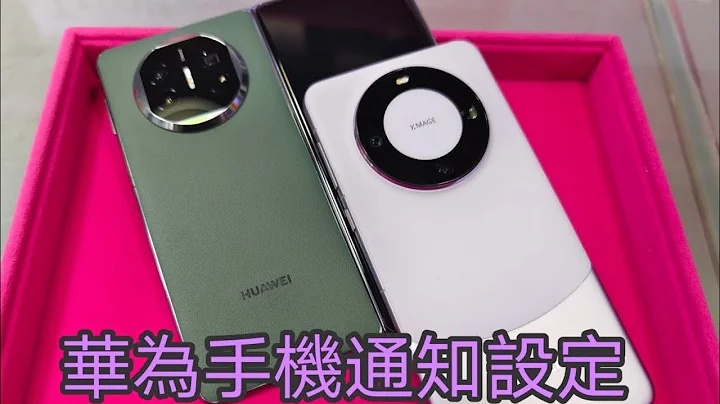三禾小教室 ⭐超清字幕版⭐: 華為google服務領先版告別通知延遲, 設定秘技全公開！貼心教學❤️ - 天天要聞