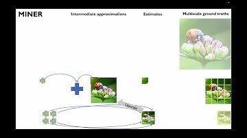 MINER: Multiscale Implicit Neural Representations (ECCV 2022)