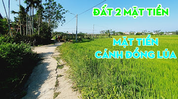 BÁN ĐẤT HỘI AN - 2 MẶT TIỀN VIEW LÚA - CẨM KIM (PHỐ CỔ 2,0KM) GIÁ RẺ