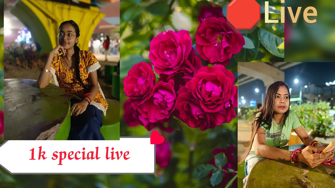 ❤️🧿 live! support Live, ❤️🧿jisko support chaihiye support back kar denge❤️