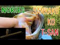 【NORIES】Do you know SANKAKU KO T-SAN ? 【Bass Fishing】