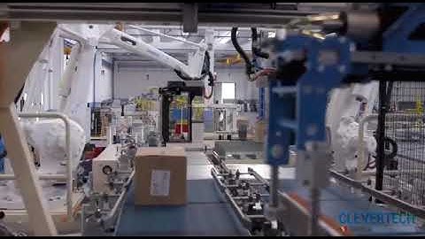 Mixed Case Palletizing reference FMCG