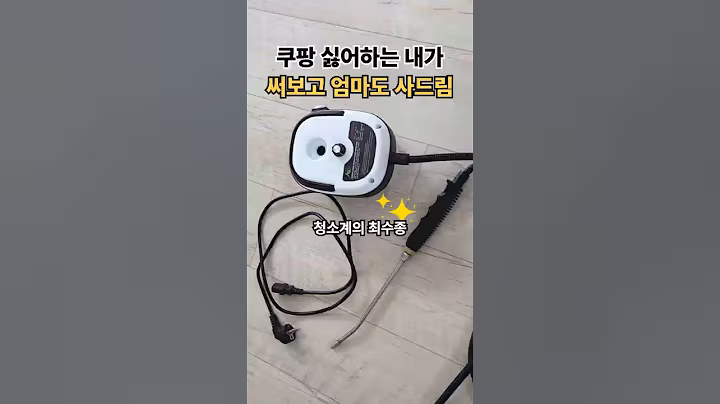 쿠팡 불신자인 내가 반한 스팀청소기, 바로 엄마한테 사드림