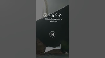 خالد الجليل - سورة الفرقان - تلاوة خاشعة #قرآن #اكسبلور #راحة_نفسية #اكسبلور #لايك