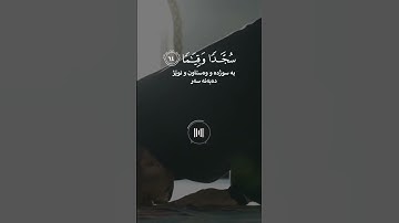 خالد الجليل - سورة الفرقان - تلاوة خاشعة #قرآن #اكسبلور #راحة_نفسية #اكسبلور #لايك