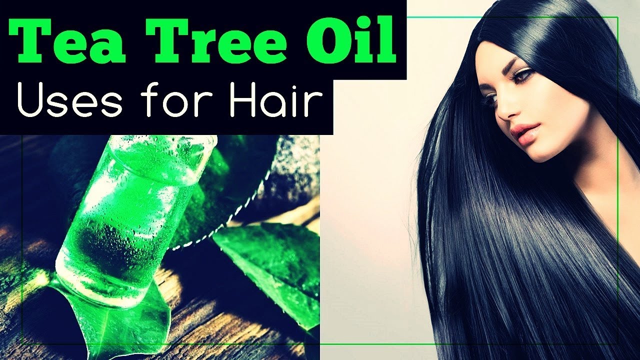 Tea Tree Oil for Hair Loss, Dandruff and More... - YouTube