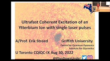 Ultrafast Coherent Excitation of an Ytterbium Ion with Single Laser Pulses