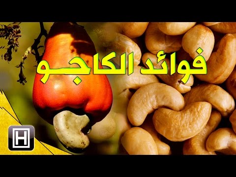 فوائد الكاجو تفوق ما قد تتخيل