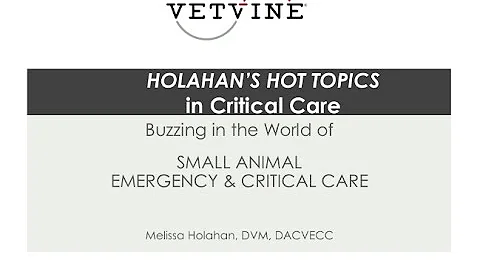 Effects of Pimobendan on Survival Time in Cats with Heart Disease
