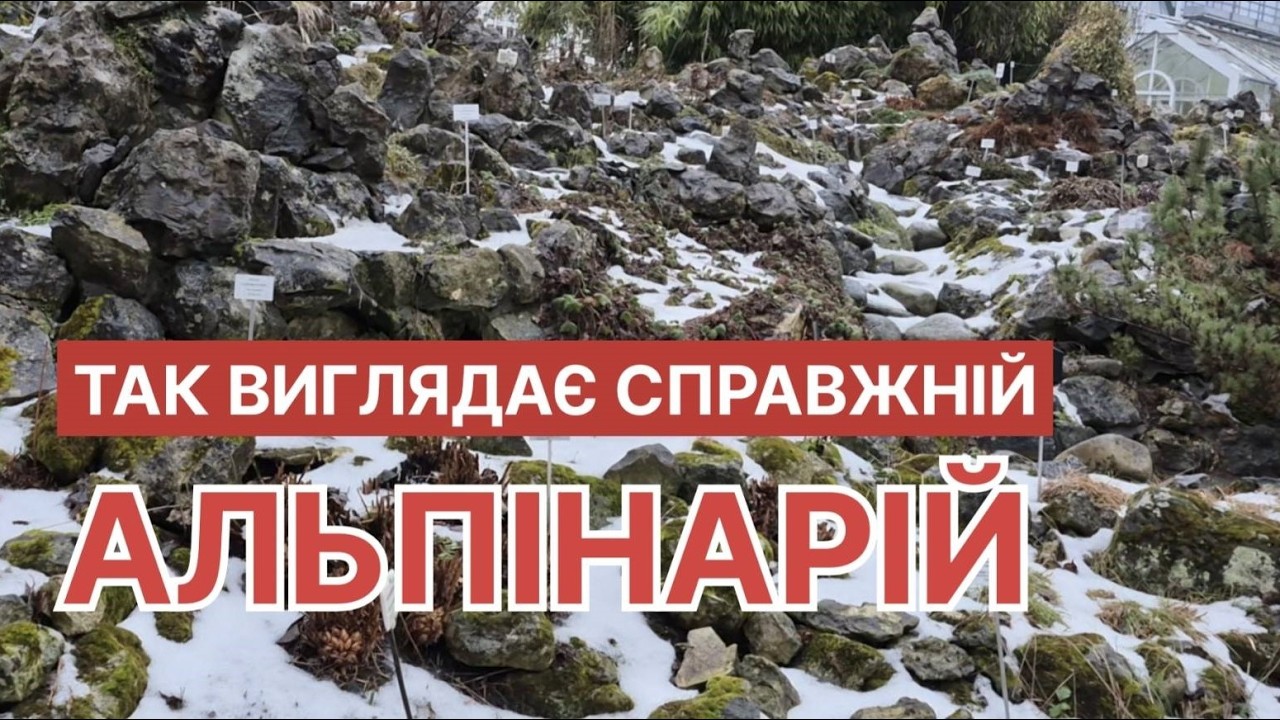 Що таке альпінарій і як його треба робити?