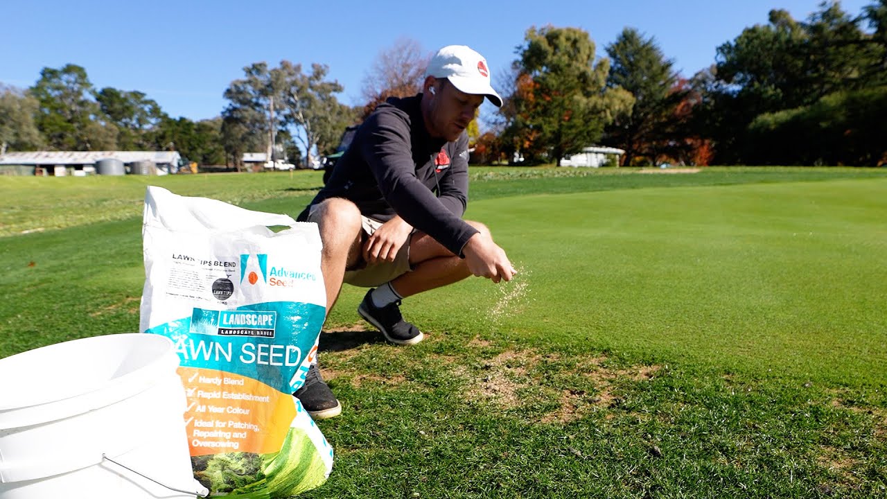 The ULTIMATE GUIDE to REPAIRING Bare Patches in Your Lawn // Seeding, Topdress or Plug?