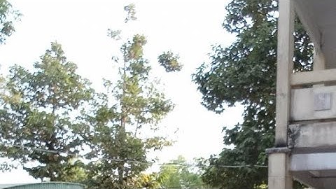 sân khấu hóa tác phẩm |Chiếc lược ngà| của học sinh Trường THCS Khánh Hòa @ThayTamLichsu