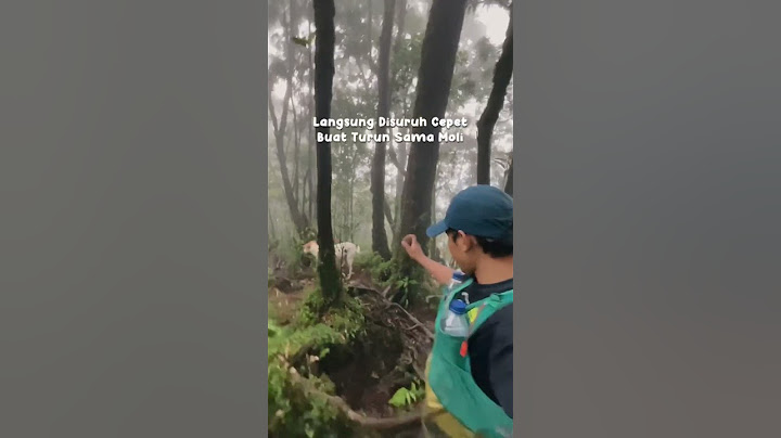 Di Jemput Anjing Putih Di Gunung Salak #trending #ceritahorrorstory #gunungsalak