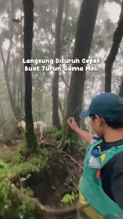 Di Jemput Anjing Putih Di Gunung Salak #trending #ceritahorrorstory #gunungsalak