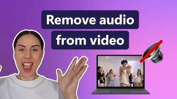 How to remove the audio from a video