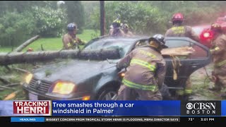 Tree Smashes Through Car Windshield In Palmer