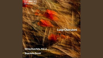 String Quartet No. 3 in D Minor: I. Allegro comodo