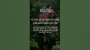 قرآن كريم راحه نفسيه لقلبك ❤تلاوة عبد الله المطرود سورة البقرة