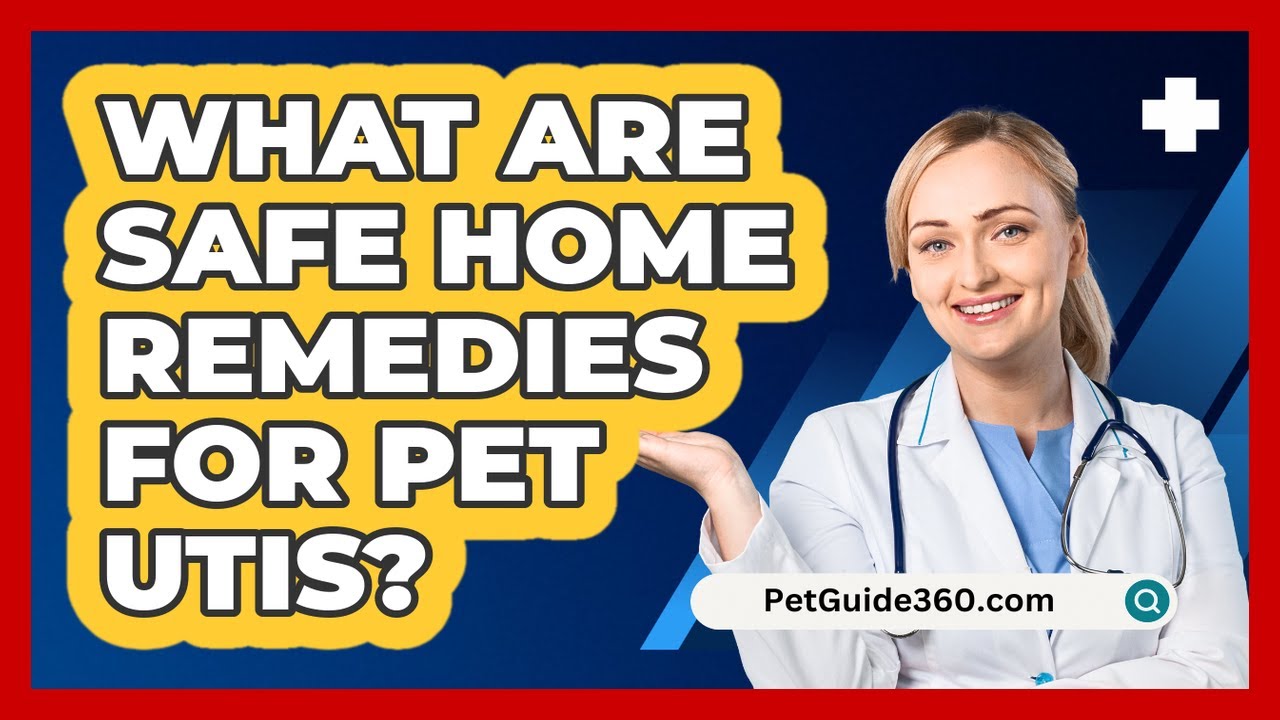 What Are Safe Home Remedies For Pet UTIs? - PetGuide360.com
