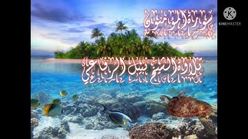 تلاوة هادئة من سورة المؤمنون الشيخ نبيل الرفاعي