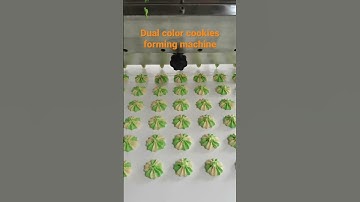 Dual color cookies forming machine