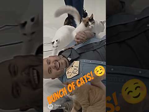Bunch Of Cats Thepriceisright Bobbarker Sorameme Soramemes Funnyvideo Viral Viralvideo