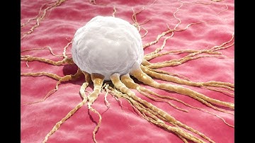 Je darmen 50.000 keer sterker: het verborgen universum in jou