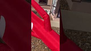 IMG 6065