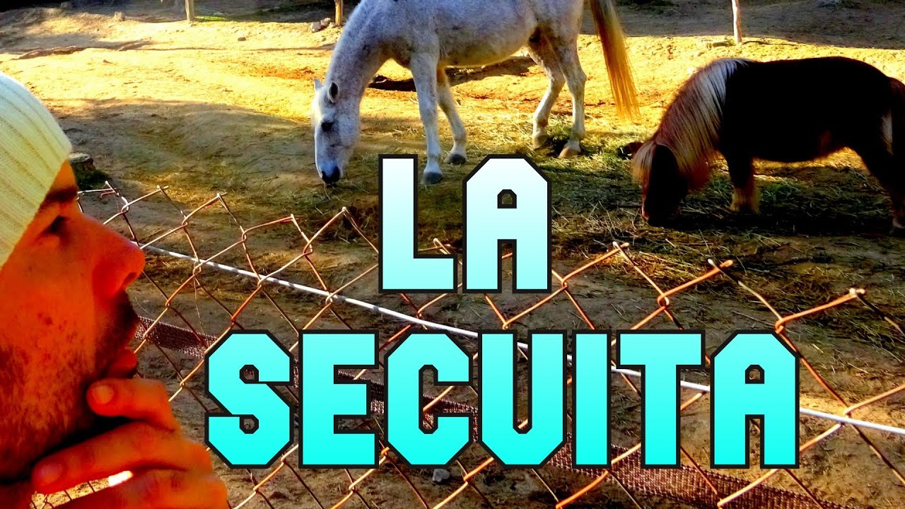 LA SECUITA | España 🇪🇸