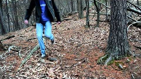 A Swiftly Tilting Planet Movie Trailer #1