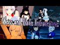 Weiss and Blake Interactions RWBY Volumes 1-7