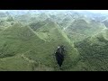 Desktop Vlog Randomness: Underground Forests-China; Mikeyeldey95 Sega Genesis, etc. (Vlog 4)