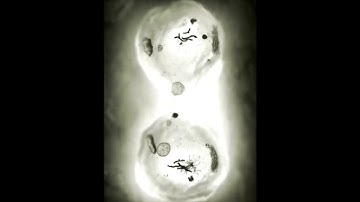 Cell Division | short video Animation | #study of cell #Division #Animation #biology