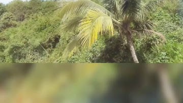 Phượt nhẹ từ bảo lộc - phan thiết ... nhìn biển rùi về !!