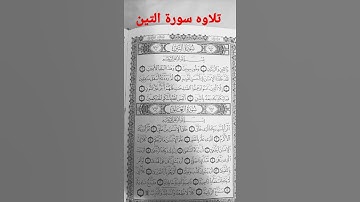 تلاوة سورة التين والزيتون