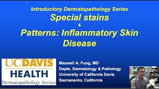 DERMATOPATHOLOGY: Special Stains & Patterns of Inflammatory Skin Diseases screenshot 2