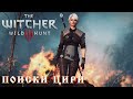 The Witcher 3: Wild Hunt. Прохождение #7. Кровавый барон