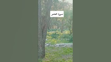 قرآن كريم #ماهر_المعيقلي #قرآن #السعودية #العراق #الاردن #موسى_التعمري #المغرب #الجزائر #مصر #quran