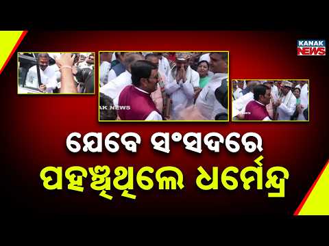 Dharmendra Pradhan Receives Grand Welcome in Parliament | NDA MPs Extend Warm Reception