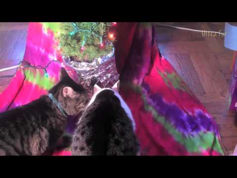 "The Holiday Show" : Ultra Fur