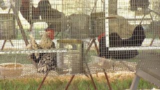 Baldwin County Fair opens Tuesday with a different look, parking changes