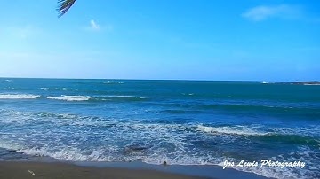Short Video of the Beach