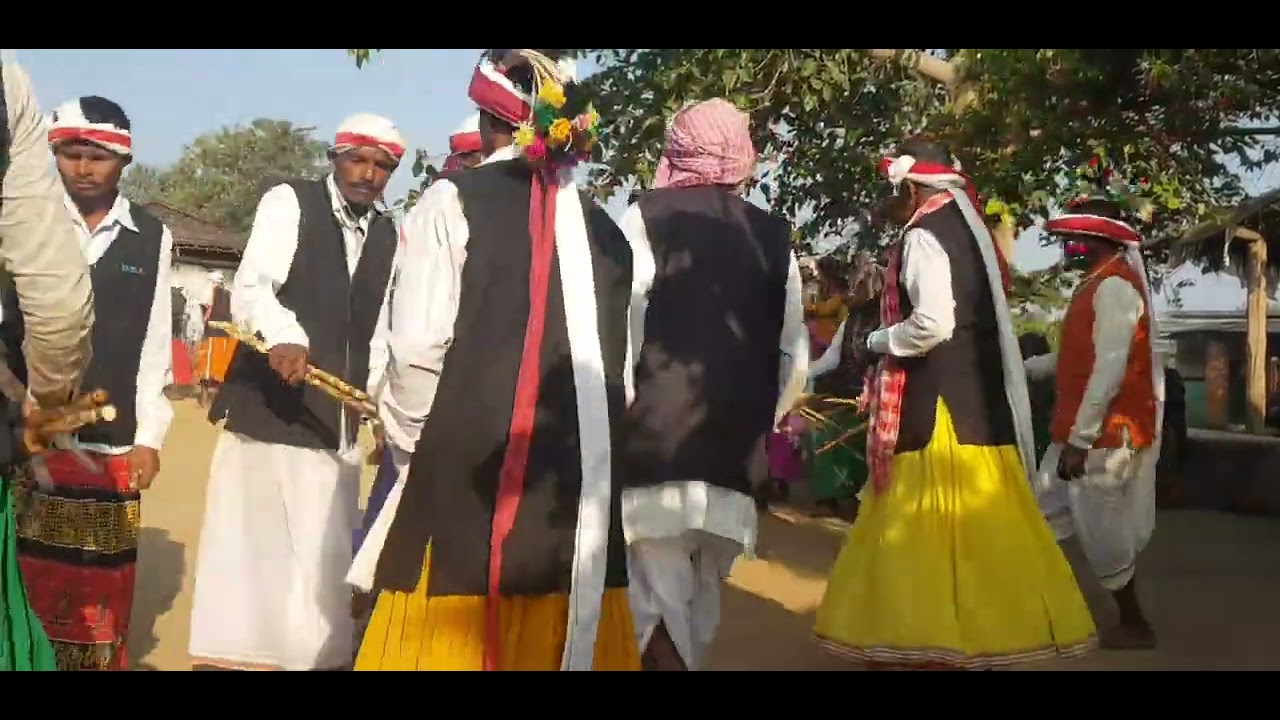 bastar kolang nirty ।। बस्तर कोलांग नृत्य ।।sundar bastar ।। सुन्दर बस्तर ।। lovely bastar ।।