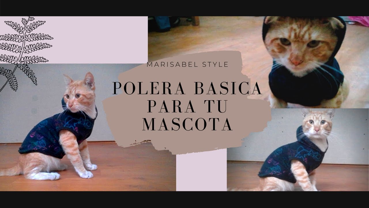 COMO HACER ROPA PARA TU GATO O PERRITO / APRENDE A REALIZAR EL MOLDE Y  CONFECCIONARLO - YouTube