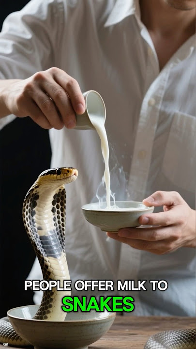 The Snake Worship Festival of India You’ve Never Heard Of! 🐍🔥#nagpanchami #snakefestival