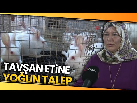 Emekli Kadın Polis Hobi Olarak Başladığı Tavşan Üretiminde Devlet Desteğiyle Büyüdü