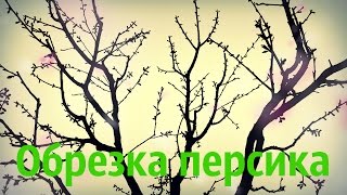 Обрезка персика,по цвету