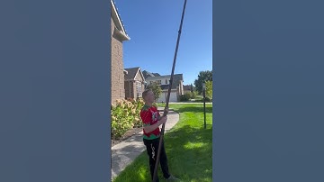 DIY Christmas lights on Tall trees no ladder or bucket truck #powerwashing  #diy #christmaslights